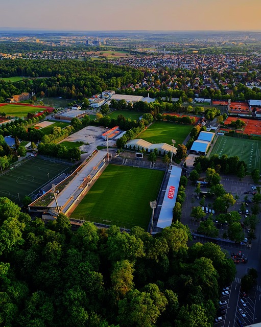 东契奇谈球 东契奇谈球