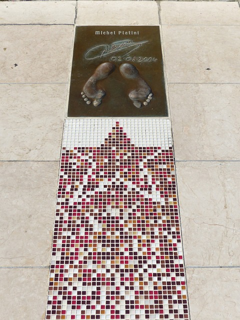 的竞争力 的竞争力